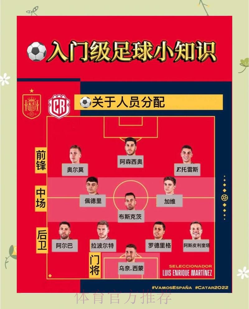 最新世界杯荷兰凯恩比赛时间完整指南